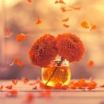 Photography by Ashraful Arefin
