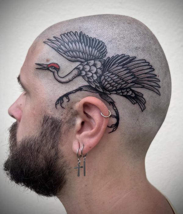 Black and grey crane