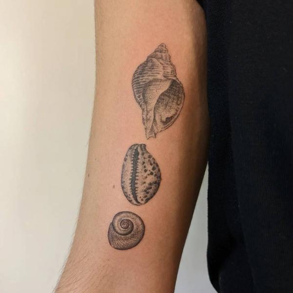 Conch cowrie nautilus shells tattoo
