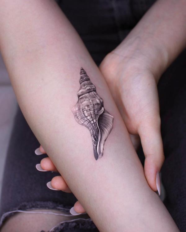 Realistic conch shell tattoo on forearm