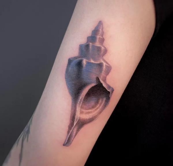 Realistic conch shell tattoo
