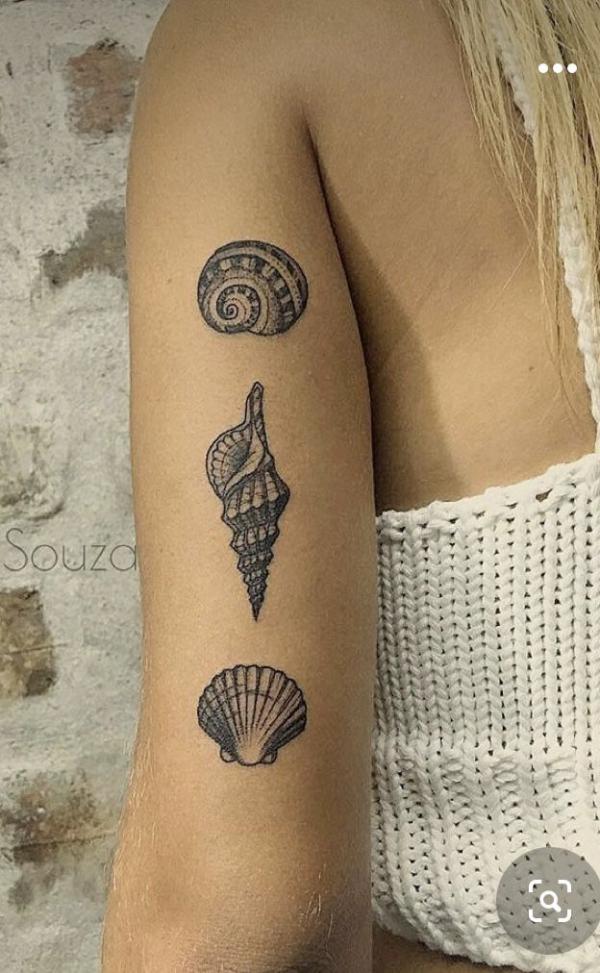 Hand Drawn Black Contour Seashell. Outline, Cartoon, Tattoo Design With  Dots. Stipple Effect Royalty Free SVG, Cliparts, Vectors, and Stock  Illustration. Image 147810261.