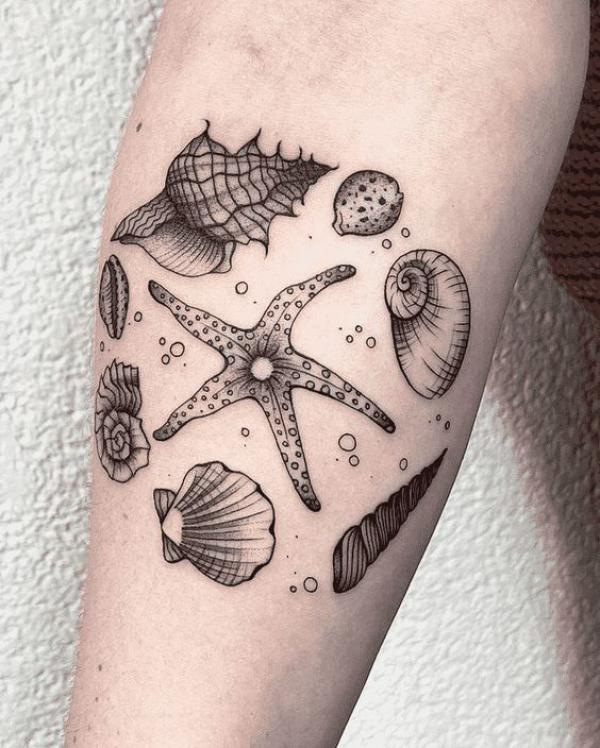 Starfish surrounded by different types of shells tattoo