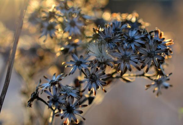 breathe-600x411.jpg