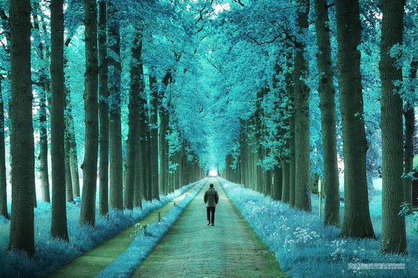 brighter_days_by_nelleke