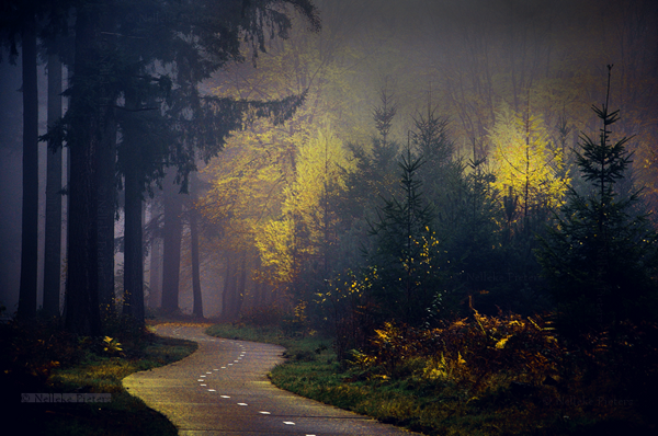 disapparate_by_nelleke