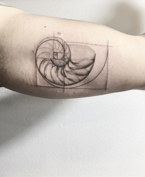 fibonacci sequence nautilus shell tattoo on bicep