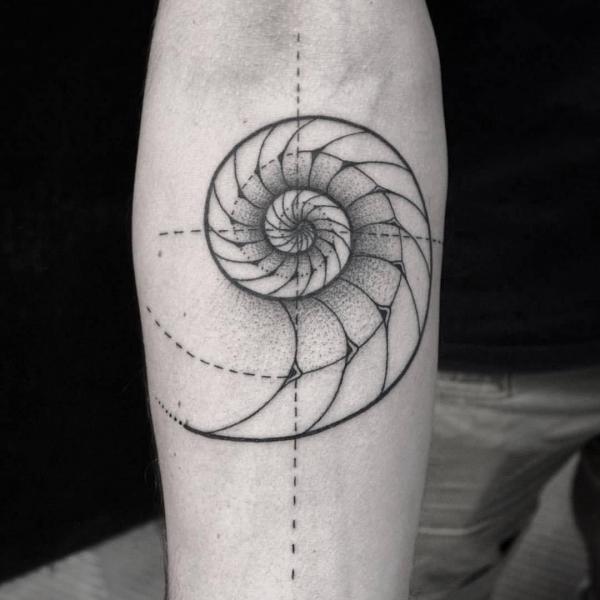 fibonacci sequence shell tattoo