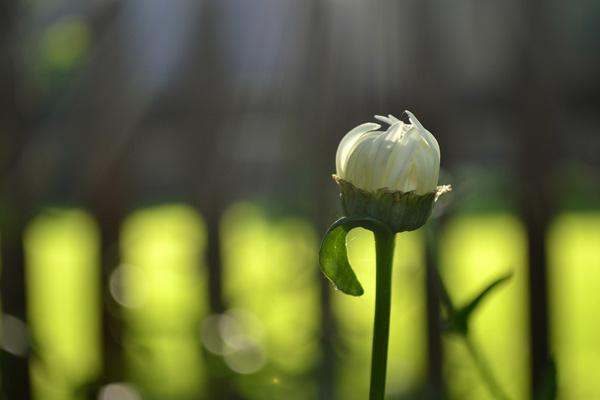 gratitude-600x400.jpg