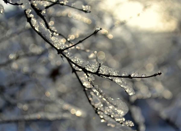 hibernation-600x435.jpg