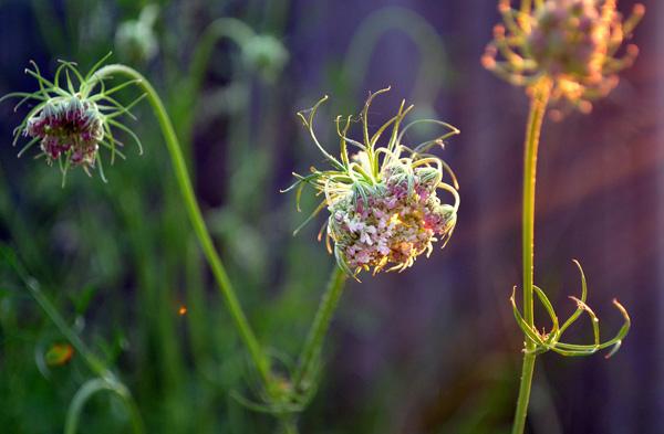 hope-600x393.jpg