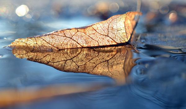 illumination-600x351.jpg