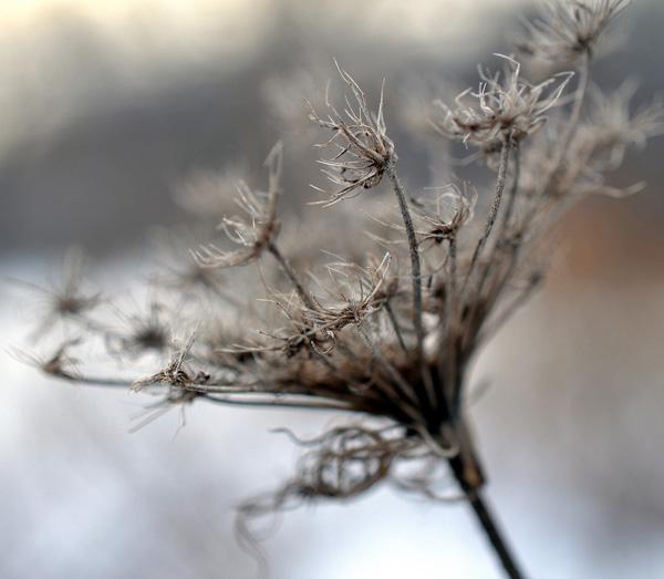 imperfection-600x523.jpg