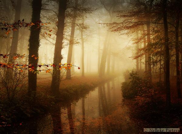 lost_in_time_by_nelleke