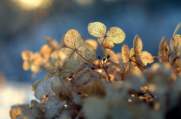 mornings-600x395.jpg