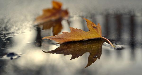 november-reflections-600x316.jpg