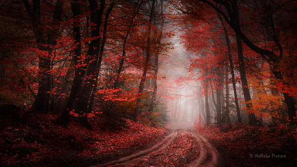 rustle_in_the_wind_by_nelleke