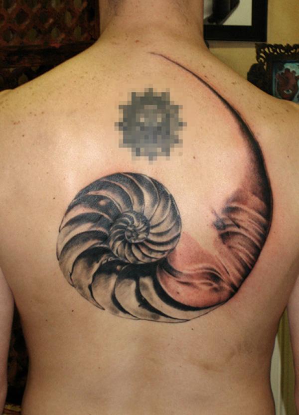 40 Shell Tattoos Make You Wonder Sea Life Cuded