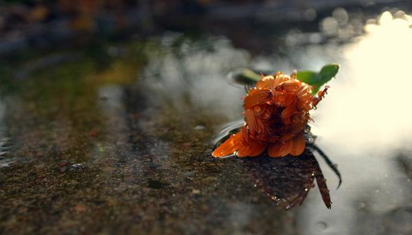sidewalk-600x342.jpg