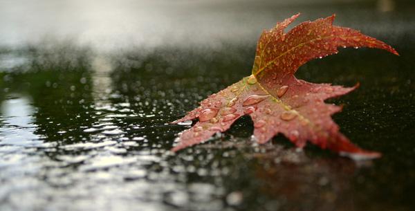 transition-600x305.jpg
