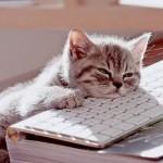 30 Fun and Creative Things to Do When Bored