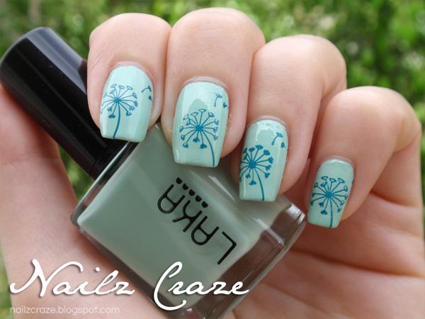 Dandelion Nailz Craze NC01 Stamping plate