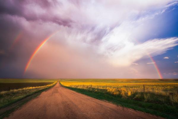 Yellow Brick Road