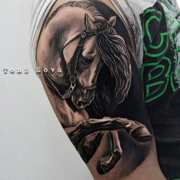 Horse half sleeve tattoo