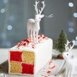 40+ Christmas Cake Ideas