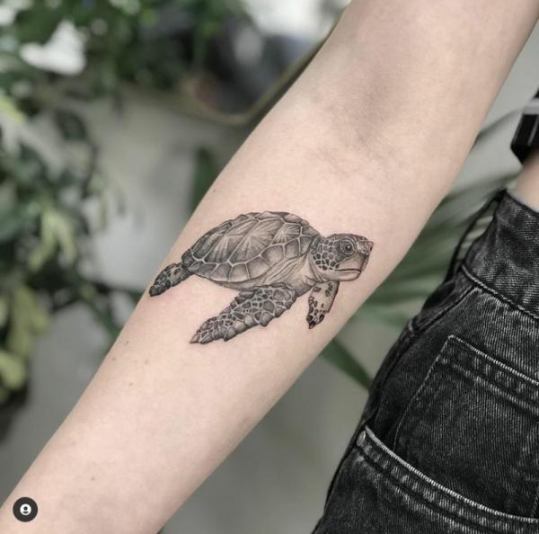 Black and grey realistic turtle tattoo on forearm