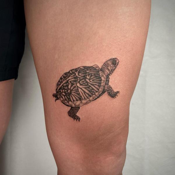 Eastern Box Turtle tattoo black and grey