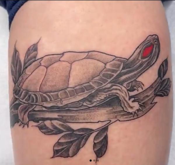 Red eared slider turtle tattoo