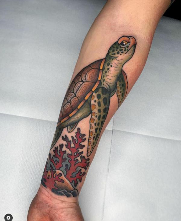 Traditional turtle with ocean plant forearm tattoo