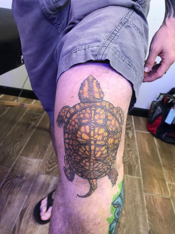 Turtle knee tattoo