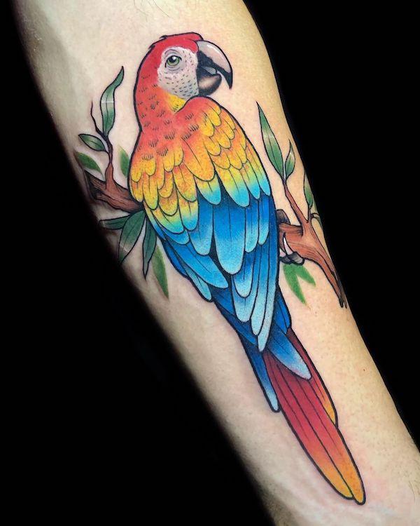 Traditional Parrot  Tattoo Art  Last Sparrow Tattoo