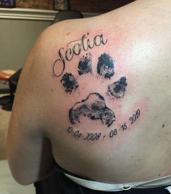 35 Cute Paw Print Tattoos for Your Inspiration | Art and Design