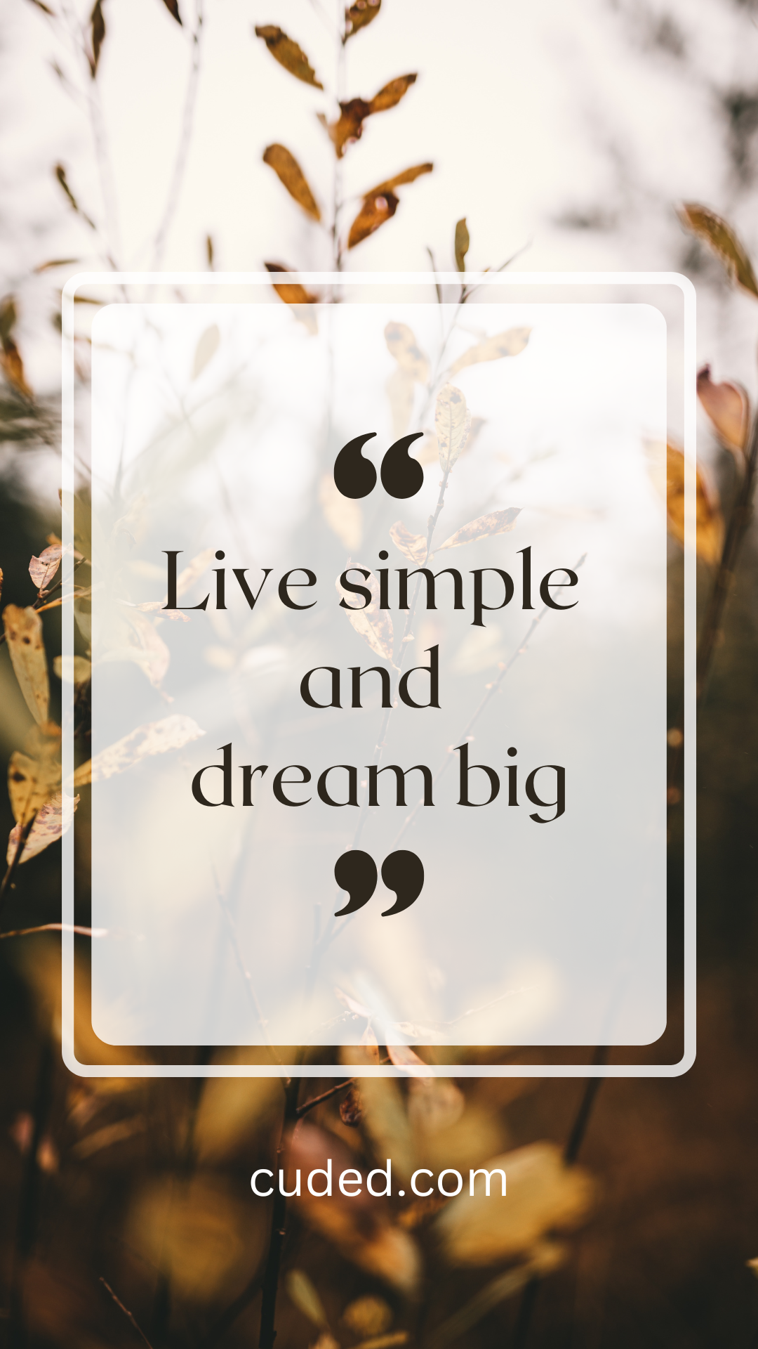 dream big quotes and quotes