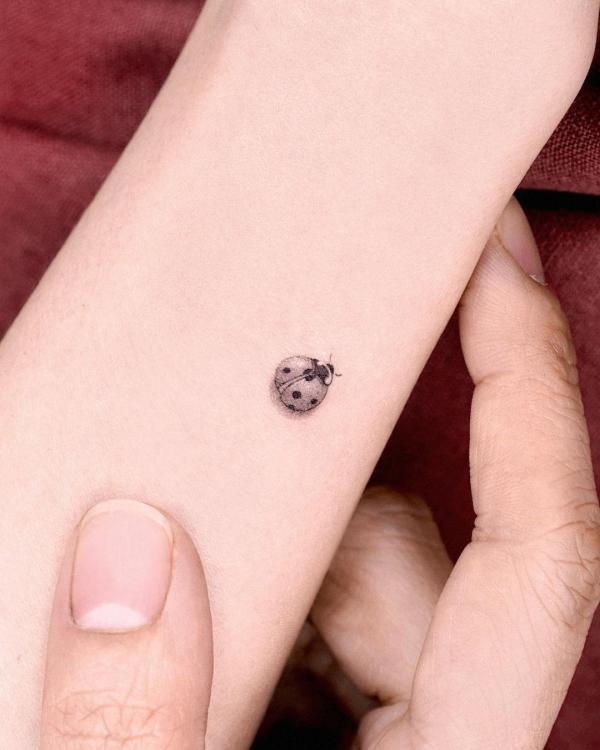 A small ladybug on the arm