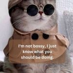 I\'m not bossy, I just know what you should be doing.
