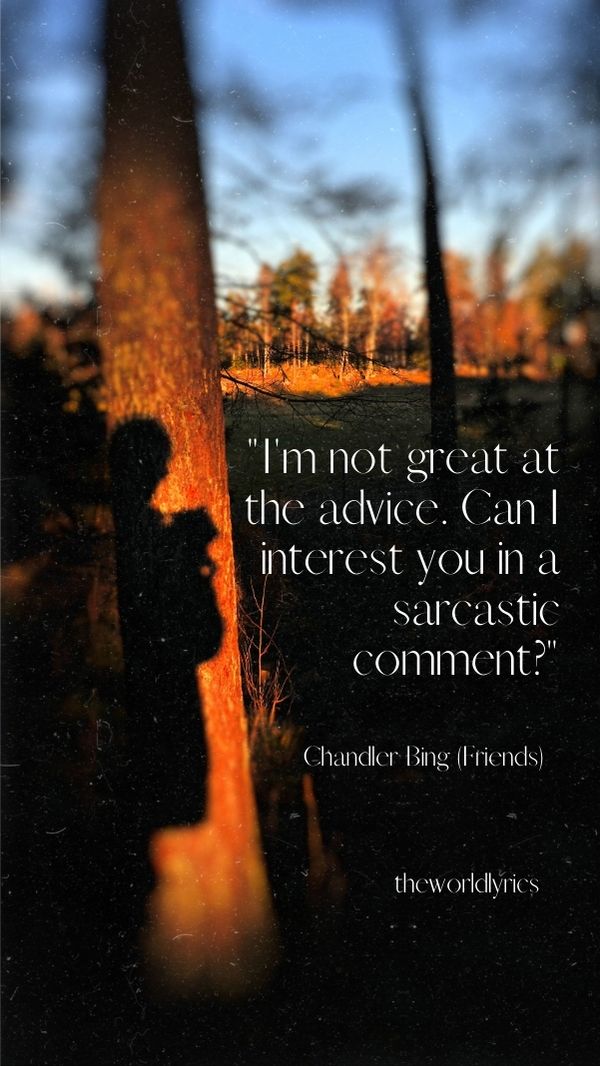 I\'m not great at the advice. Can I interest you in a sarcastic comment