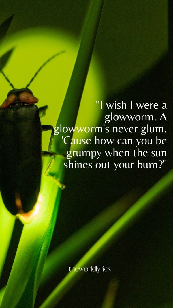 I wish I were a glowworm. A glowworm\'s never glum. \'Cause how can you be grumpy when the sun shines out your bum?