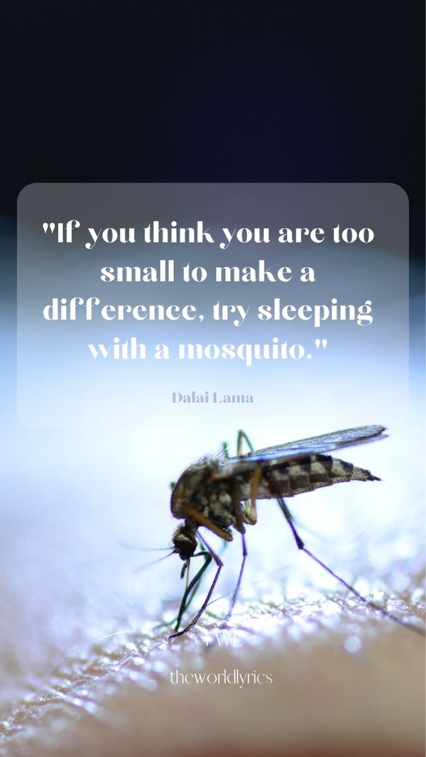 If you think you are too small to make a difference