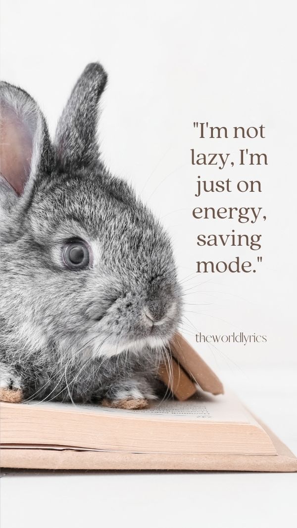 Im not lazy Im just on energy saving mode