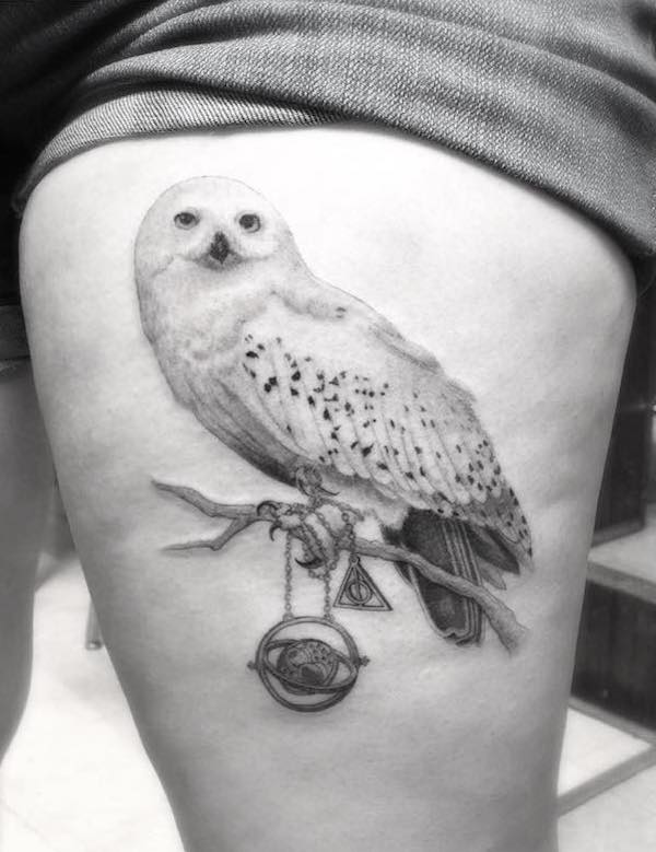 Black and gray owl perching on the branch with pendant