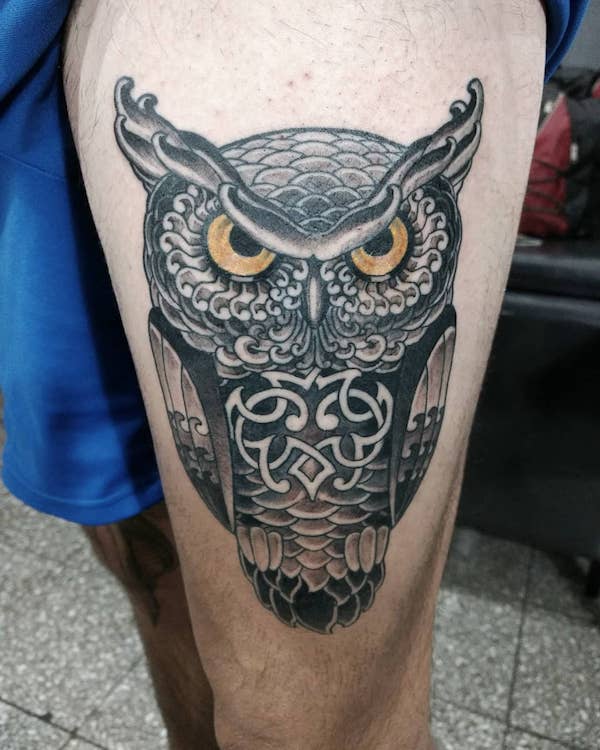 Celtic owl with love knot