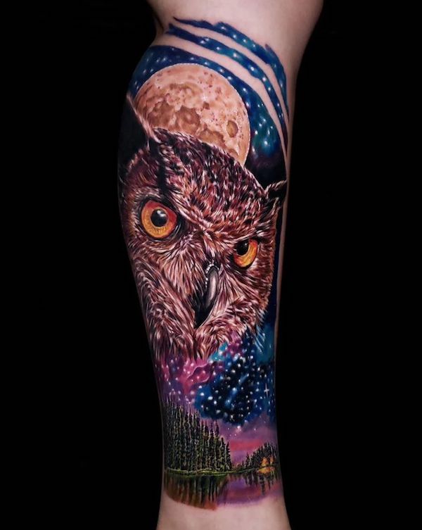 Depicting an owl amidst a starry night sky