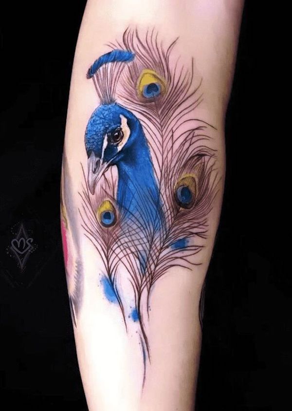 Peacock feather on sleeve tattoo