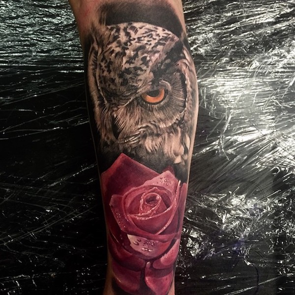 Rose and owl