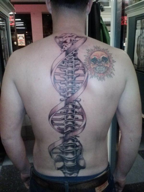 A DNA strand intertwined with a skeletal spine