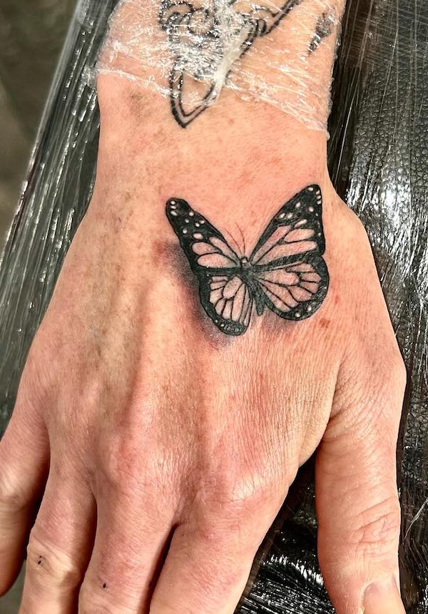 A butterfly perched on the back of the hand